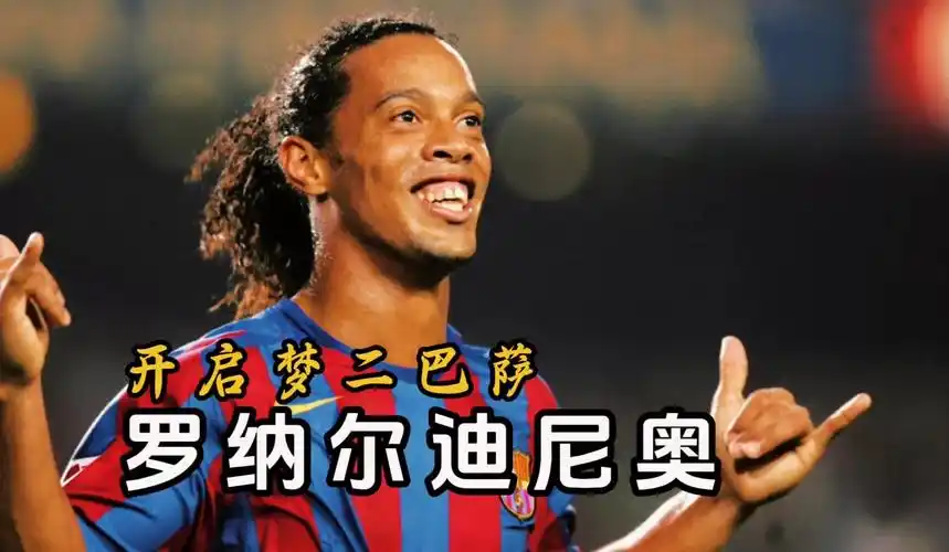 议条款